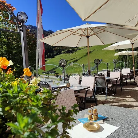 Hotel Almhof-2